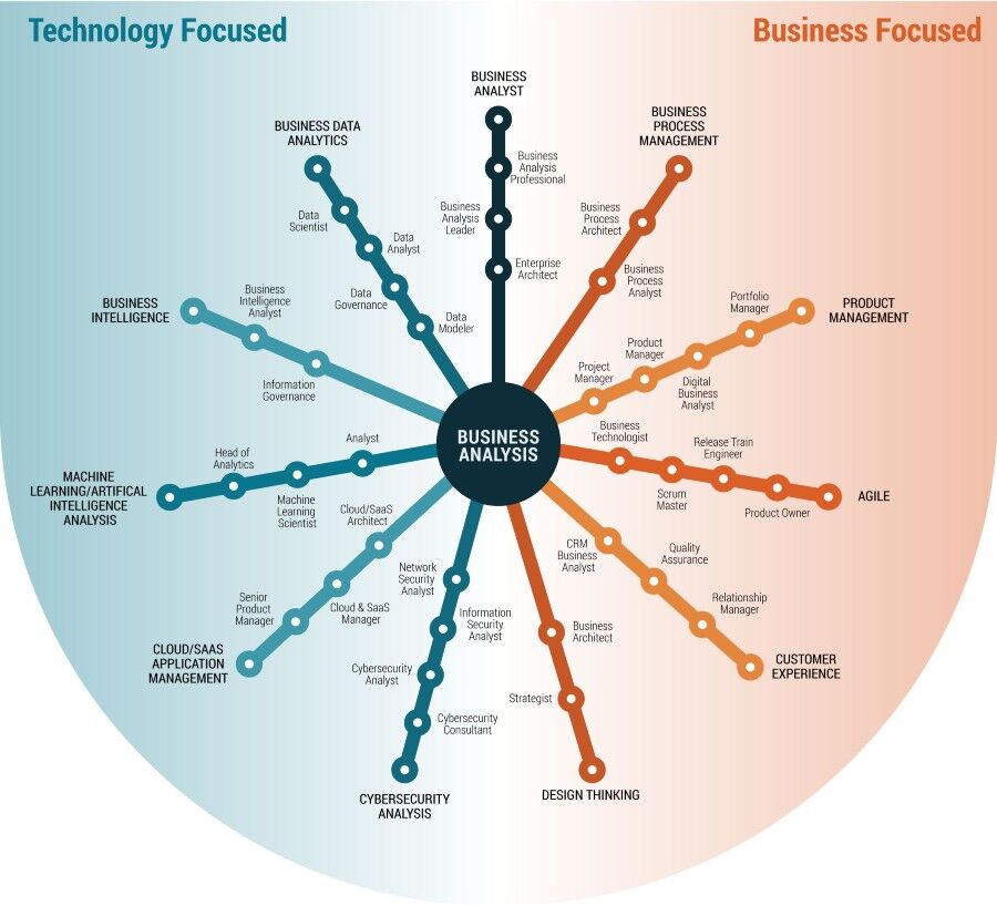 How To Become A Business Analyst: The Way To A Seasoned BA - Velvetech